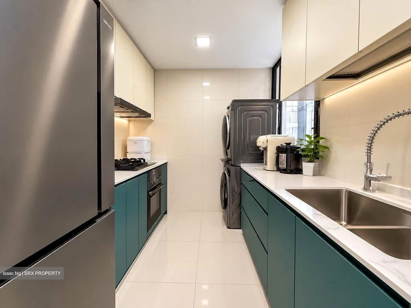Twin Waterfalls (D19), Condominium #629793461
